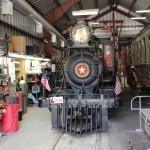 IMG_7594 (May 28, 2024)